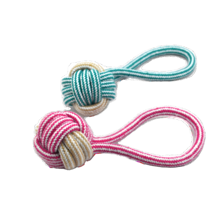 The Faithful Companion: More Than Just a Knot