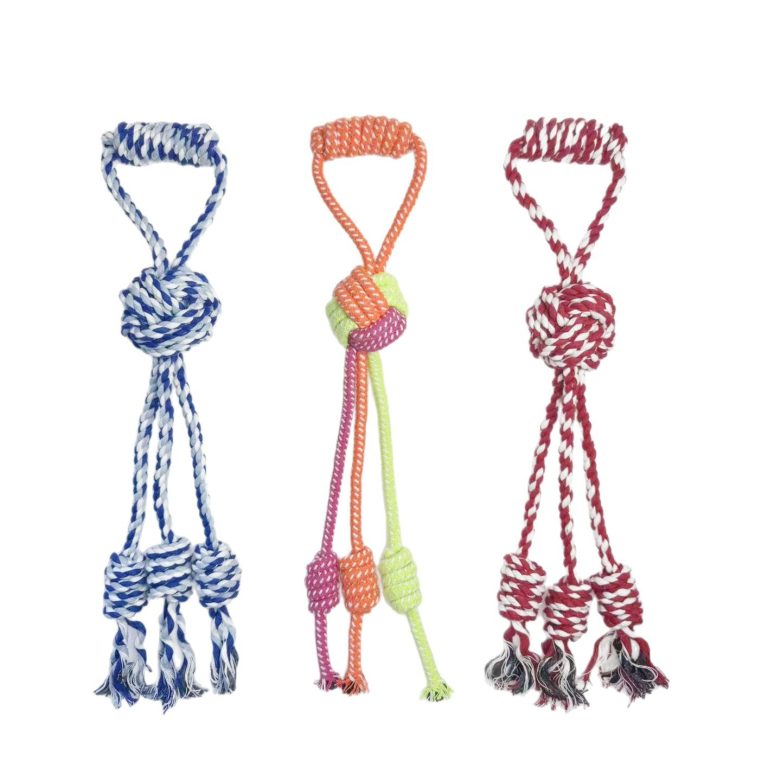 忠实的伙伴：不仅仅是一个绳结