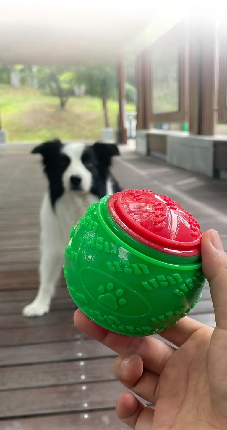 TPR玩具：现代游戏的柔性耐用之选